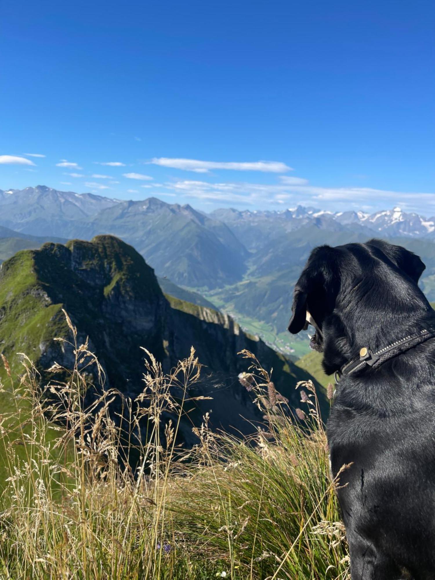 Gaestezimmer Peterbauer Lejlighed Dorfgastein Eksteriør billede