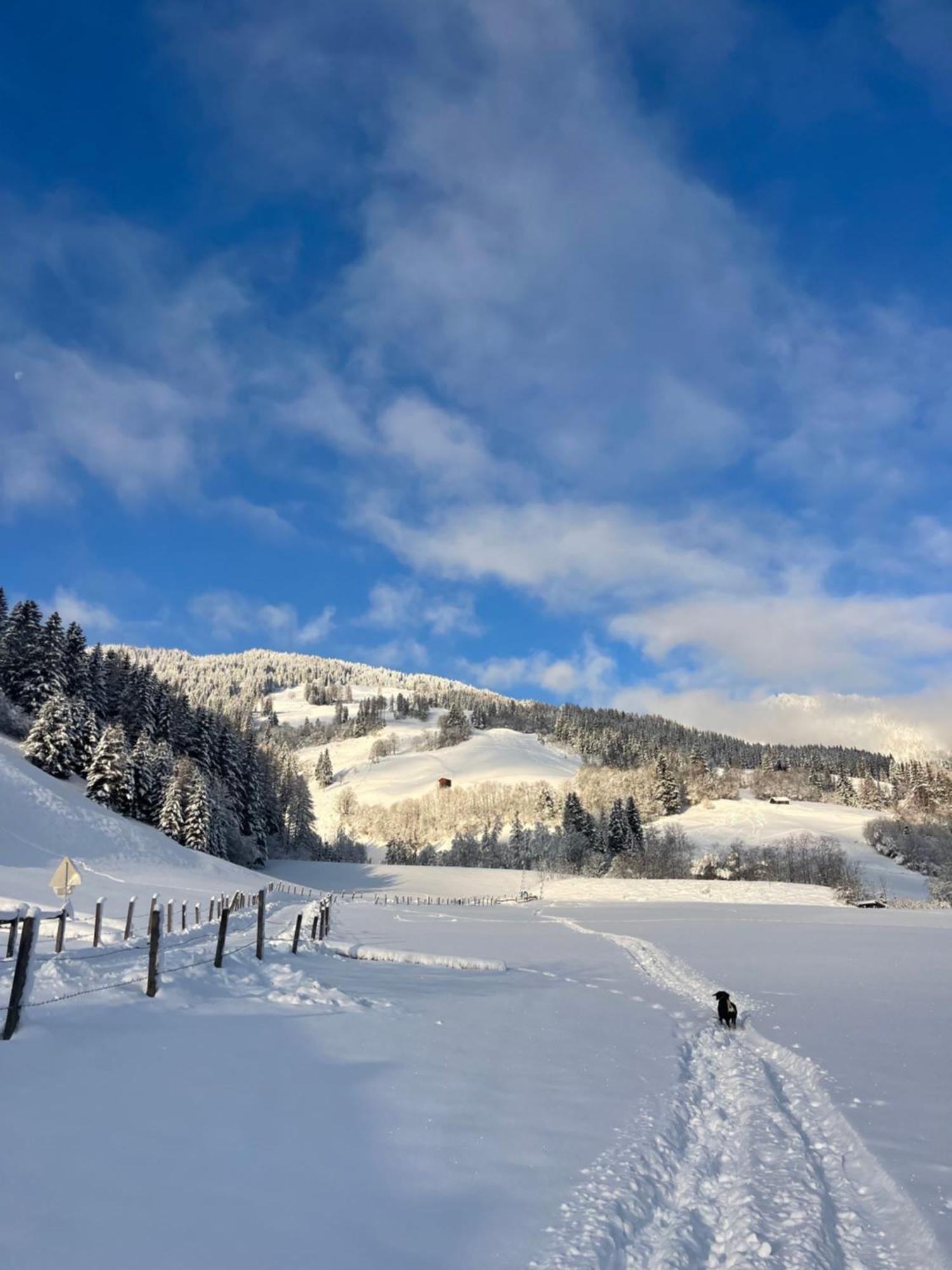 Gaestezimmer Peterbauer Lejlighed Dorfgastein Eksteriør billede