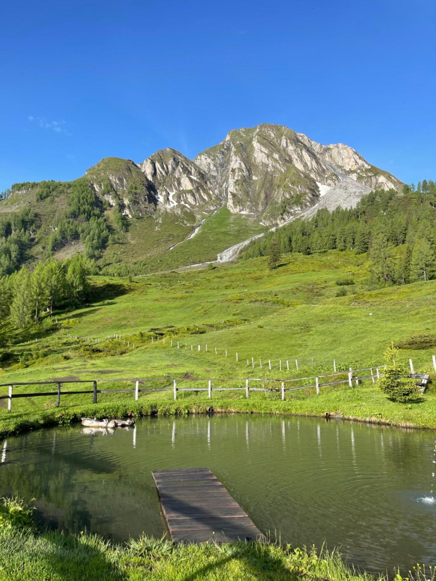 Gaestezimmer Peterbauer Lejlighed Dorfgastein Eksteriør billede